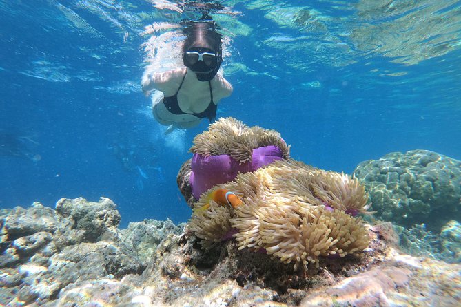 Nusa Penida Island Tour Package With Snorkeling - Quick take: what matters most