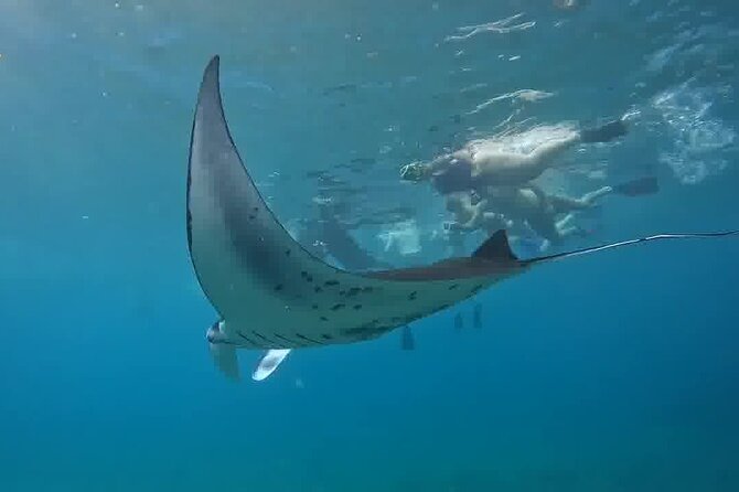 Nusa Penida Land Tour and 4 Points Snorkeling with Manta - Key highlights you should care about