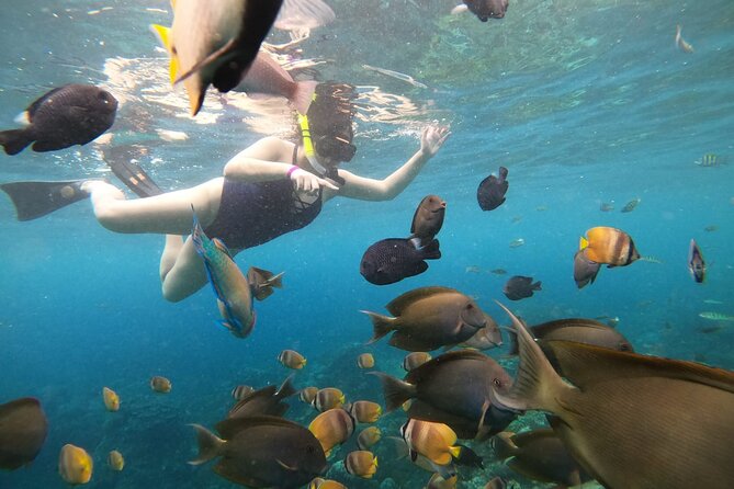 Nusa Penida Land Tour and 4 Points Snorkeling with Manta - Hotel transfers, lunch, and what $58 actually covers