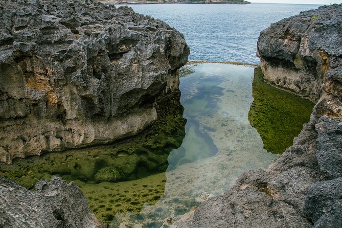 Nusa Penida One Day Trip to Instagrammable Spot by Penidago - Price and What Feels Like Real Value at $40