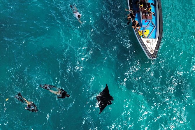 Nusa Penida Private Snorkeling and West Tour Start from Bali - Key Highlights You’ll Care About