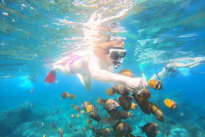 Nusa Penida Private Snorkeling and West Tour Start from Bali - Snorkeling on Penida: Manta Bay, Crystal Bay, and Gamat Bay