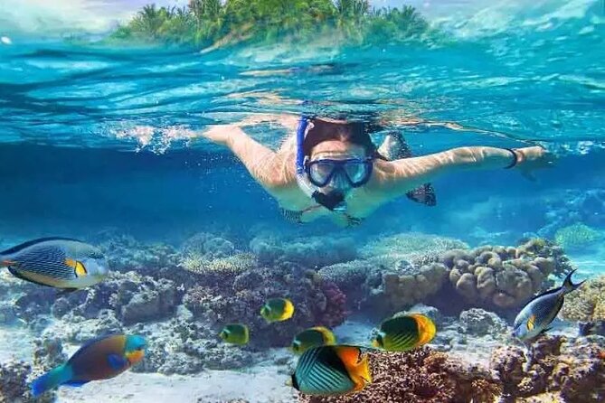 Nusa Penida West trip with snorkeling at 3 spot with Free Meals - Key highlights worth knowing before you go