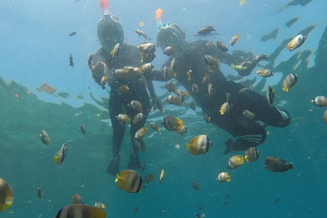One Day Snorkeling Trip & West Tour Nusa Penida by Penidago - Kelingking Beach: why this is the afternoon anchor