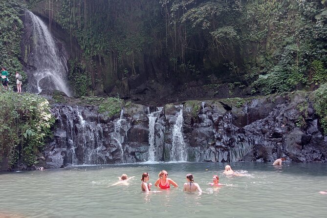 Penglipuran Village Waterfall Swing Private Guided Tour - Door-to-door pickup, A/C comfort, and a guide who watches the clock