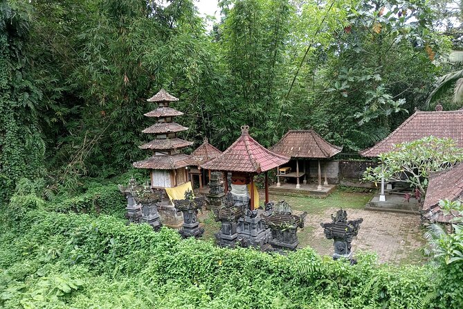 Penglipuran Village Waterfall Swing Private Guided Tour - Kemenuh Monkey River: watching long-tailed monkeys, not chasing them
