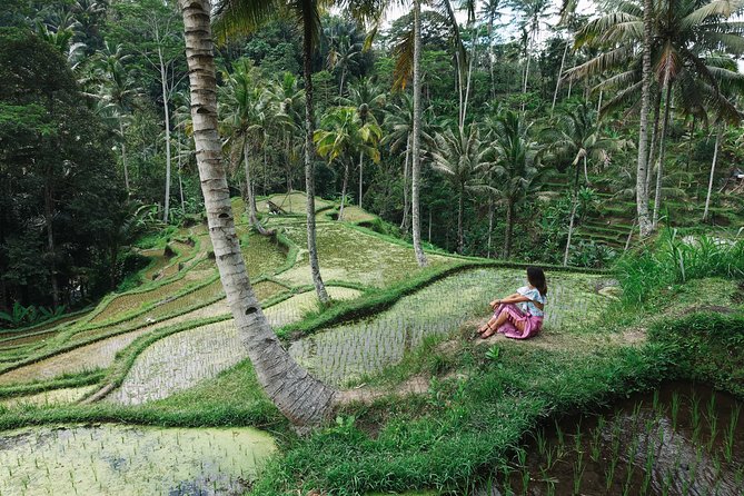 Private Bali Car Charter with Driver up to 6 People - Photo and fun stops: Upside Down World and DMZ 3D Art Museum