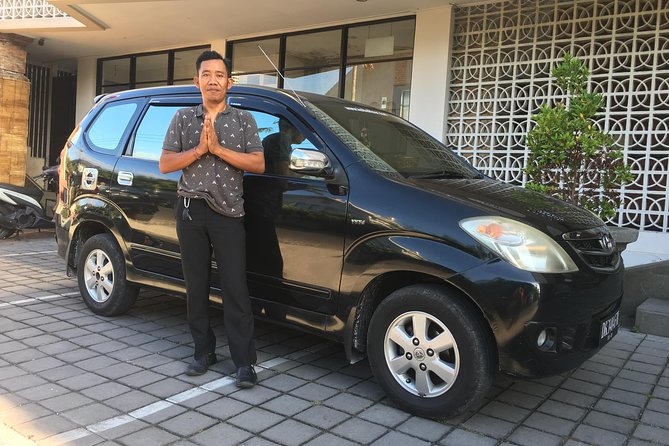 Private Bali Car Charter with Driver up to 6 People - Should you book this Bali private car charter?