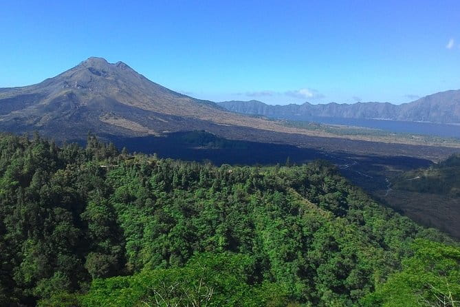 Private Bali Customized Tours - A private driver builds a Bali intro around you