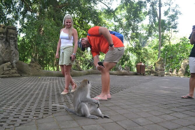 Private Bali Customized Tours - Water temples and hidden daylight: Tirta Empul and Tukad Cepung