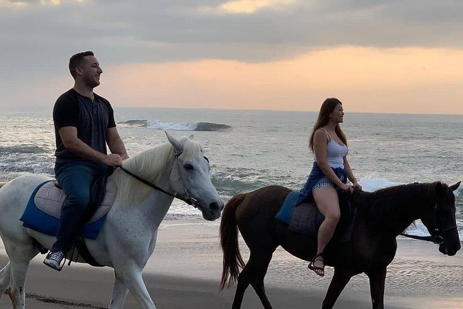 Private Bali Horse Riding In Seminyak Beach - What the ride day feels like: from Mesari Stables to the sand