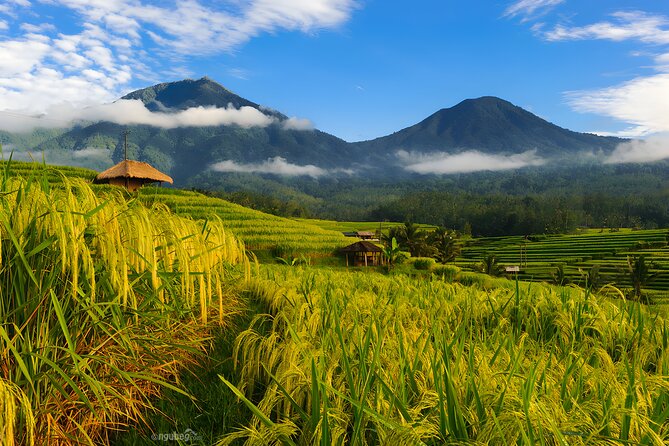 Private Full-Day Tour: Discover The Best of Bali Destination - Pickup across Bali: saving time and stress