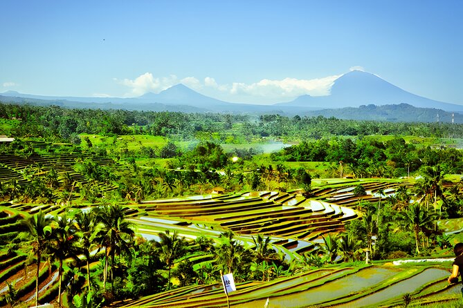 Private Full-Day Tour: Discover The Best of Bali Destination - Jatiluwih Green Land: rice terraces that reward slow walking