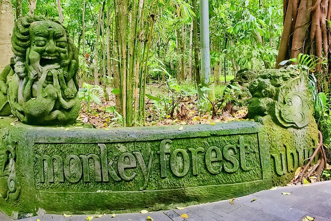 Private Full-Day Tour in Bali & FREE WIFI - Price and value: what $35 per person includes, and what it doesn’t