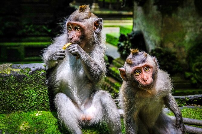 Private Full Day Tour In Ubud Bali - Celuk Village: Silver and Gold Craft Galleries in a Quick 30 Minutes