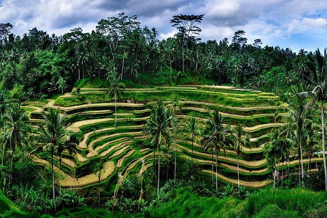 Private Full Day Tour In Ubud Bali - Tegenungan Waterfall: Lush Views With a Short Walk Option
