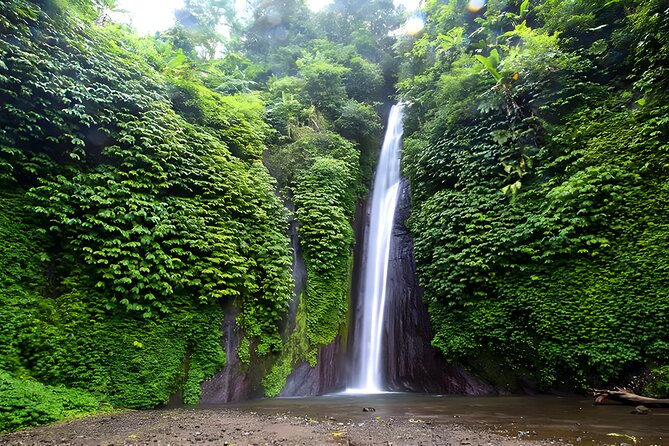Private Full-Day Tour : North Bali Trip to Discover The Culture of Bali Island - Handara Iconic Gate: where the photos are the point