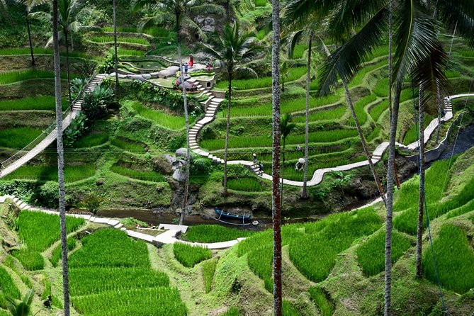 Private Full Day Tour to Ubud Highlights with Giant Swing - Tegalalang Rice Terrace: Where the Green Views Feel Like a Breath