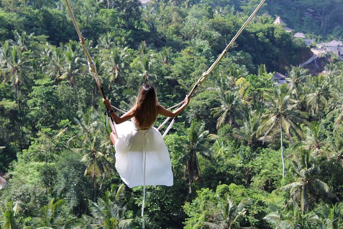 Private Full Day Tour to Ubud Highlights with Giant Swing - Price and What It Really Covers (So You Can Budget Honestly)