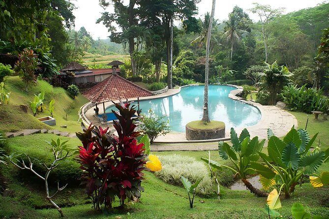 Private Full-Day Tour: Ulun Danu Beratan Temple, Jatiluwih and Tanah Lot Temple - Jatiluwih Rice Terraces: UNESCO scale you can actually feel