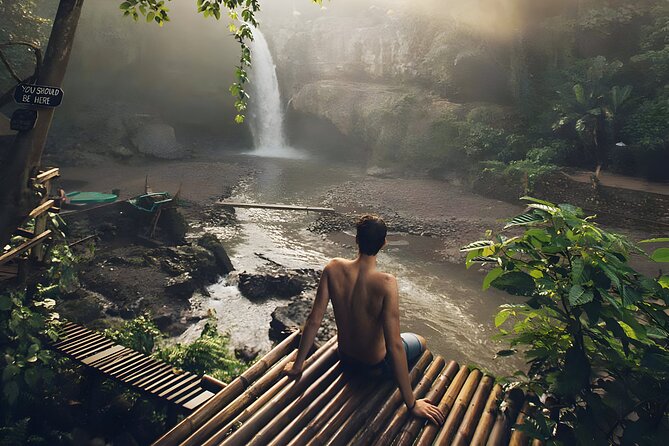 Private Half-Day Tour: The Best Ubud Half Day Trip Packages - The all-inclusive vs car charter choice (tickets and lunch)