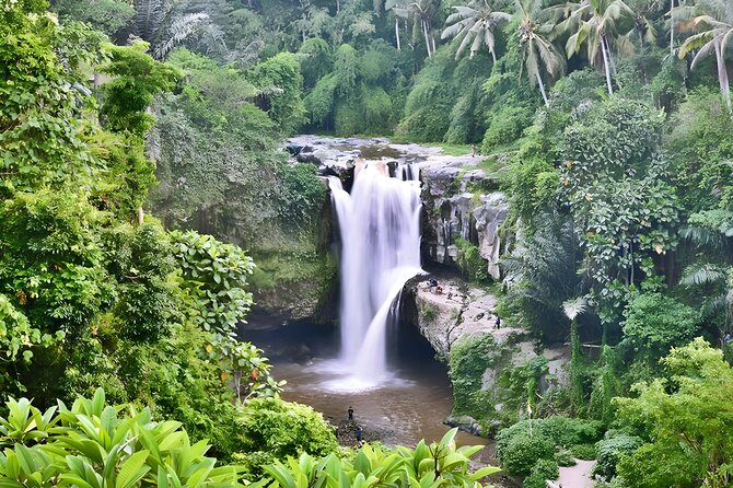 Private Half-Day Tour : Ubud Waterfall Tour Packages - Key highlights that make this tour worth your time
