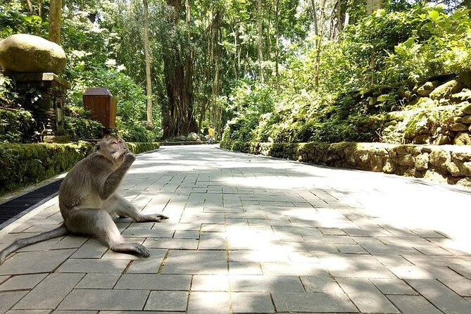 Private Inclusive Tours: 2 Days highlight of Bali - Day 2 on the coast: Melasti Ungasan and Padang Padang beach time