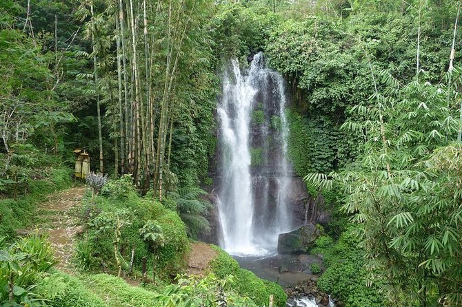 Private Munduk Waterfalls Trekking Tour - Setting off from Seminyak for Northern Bali, the 7:00 am rhythm