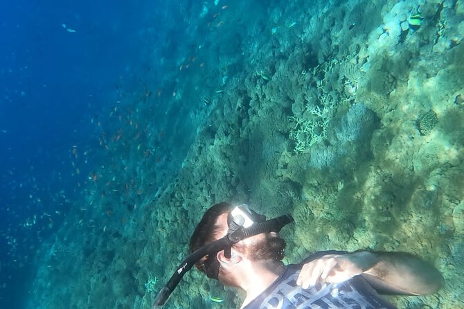Private Nusa Penida Snorkeling Tour - Price and value: what you are paying about $157.84 for
