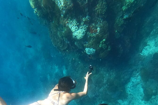 Private Nusa Penida Snorkeling Tour - Who this Nusa Penida snorkeling tour suits best