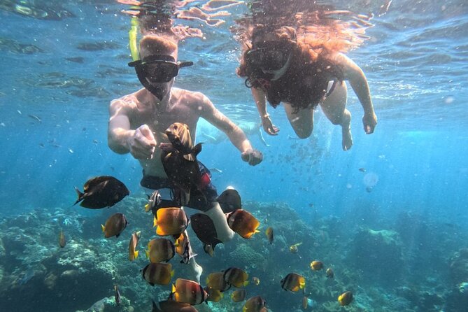 Private Snorkeling from Nusa Penida - Private Boat Snorkeling and Gear That Removes Most of the Stress