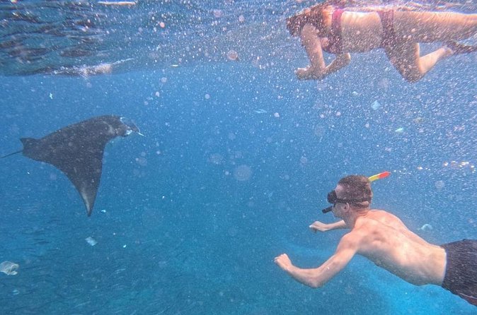 Private Snorkeling from Nusa Penida - What a Smooth Day Feels Like: Timing, Staff Help, and Crowd Control