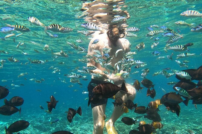 Private Snorkeling from Nusa Penida - Manta Bay: Your Best Shot at Giant Rays