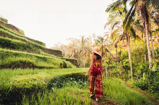 Private Tour Ubud: Swing at Rice Field with Temple and Waterfall - How the 8 to 10 hour private schedule actually feels