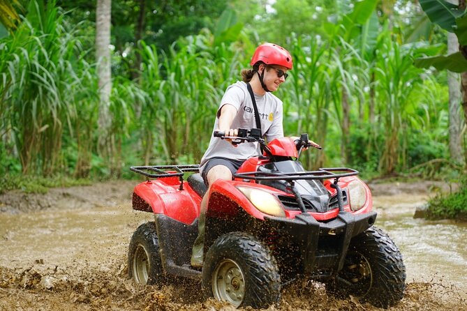 Quad Bike Ride and Snorkeling at Blue Lagoon Beach All-inclusive - Underwater Life You Might Spot, Plus Why Conditions Matter