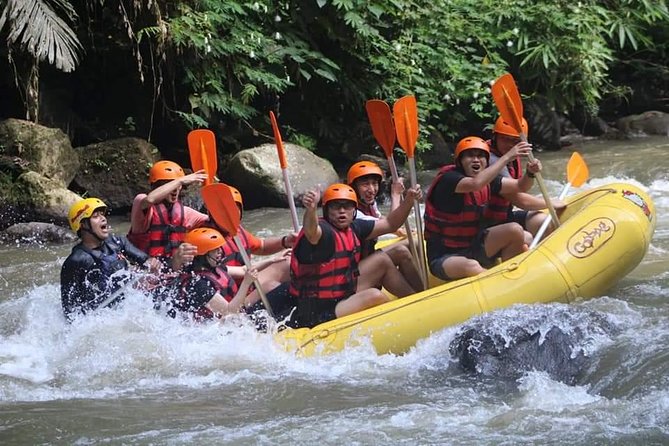 Rafting Swing Monkey Forest And Waterfall Tour All Inclusive - A 7-hour Bali highlights day from Seminyak (and why that matters)