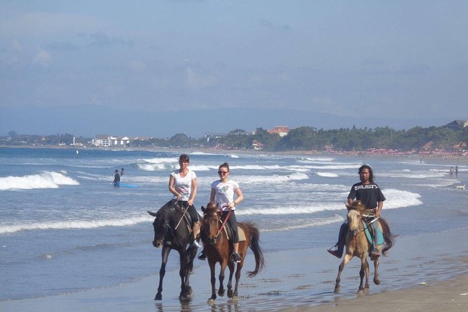 Seminyak Beach Bali Horse Riding - Timing Your Ride: Sunset Magic vs. Practical Daylight