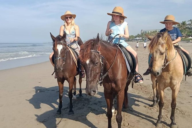 Seminyak Beach Bali Horse Riding - Price and Value: Is $63.95 for 1 Hour Fair?