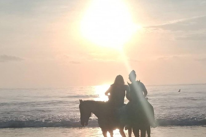 Seminyak Beach Bali Horse Riding - Who This Seminyak Horse Ride Fits Best