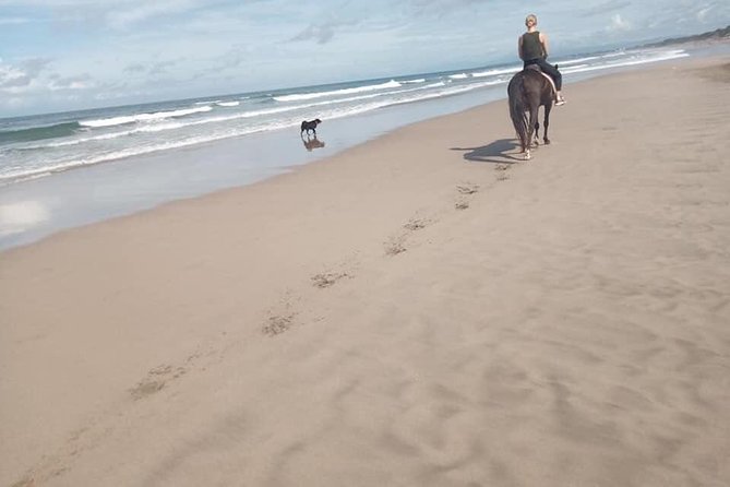 Seminyak Beach Bali Horse Riding - Stop 1: Seminyak Beach, Quieter Coastline and Photo Moments