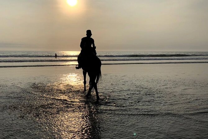 Seminyak Horse back riding In the beach - Private Group Format: Why It Matters More Than You Think