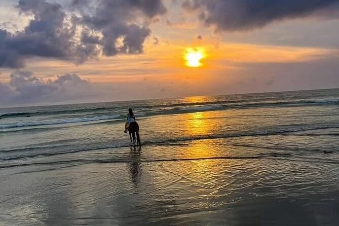 Seminyak Horse back riding In the beach - Where You Meet at Mesari Stables, and How the Hour Unfolds