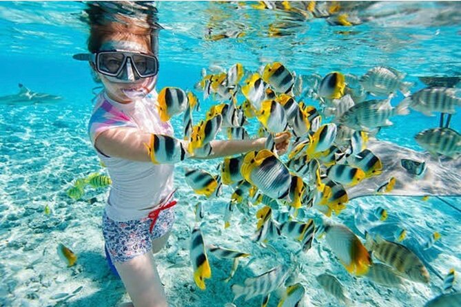 Snorkeling At Blue lagoon And Hidden waterfall - Key highlights worth planning around