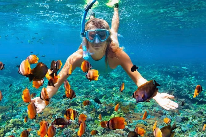Snorkeling At Blue lagoon And Hidden waterfall - Snorkeling at Blue Lagoon (and the Tanjung Jepun start)