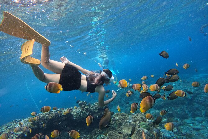 Snorkeling Day Trip To Lembongan and Penida - Price and what you actually pay for ($35.27)