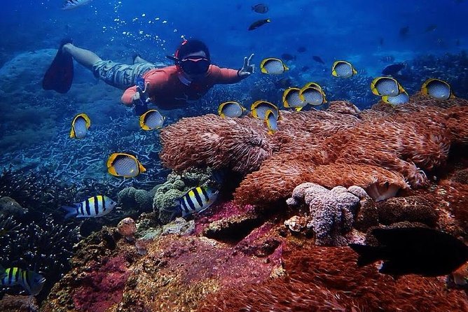 Snorkeling Day Trip To Lembongan and Penida - Lembongan watersport base: snacks, gear fitting, lunch, and shower time