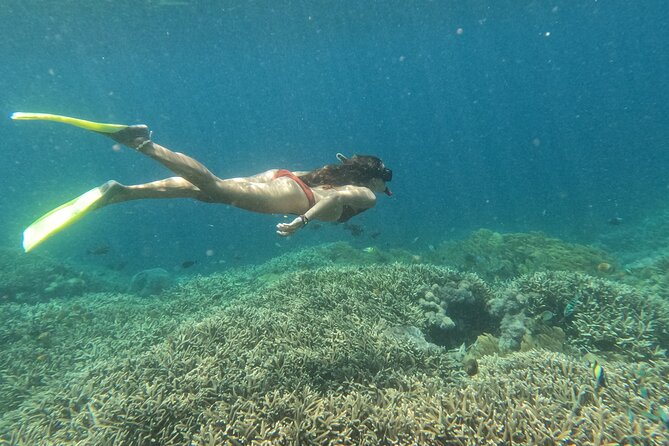 Snorkeling Day Trip to Nusa Lembongan and Nusa Penida - Nusa Penida Mantas: The Real Reason to Go
