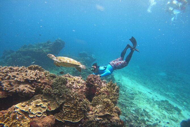 Snorkeling Day Trip to Nusa Lembongan and Nusa Penida - What You’ll See in the Water (And How to Help Your Chances)