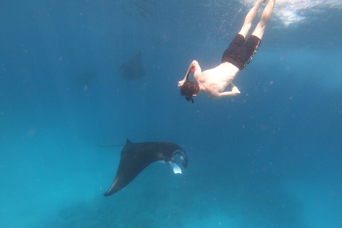 Snorkeling Day Trip to Nusa Lembongan and Nusa Penida - Kayaking or a Lembongan Tour After Snorkeling