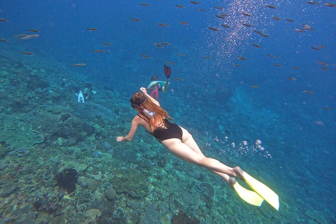 Snorkeling Day Trip to Nusa Lembongan and Nusa Penida - From Seminyak: Pickup, Meeting Point, and Fast-Boat Reality